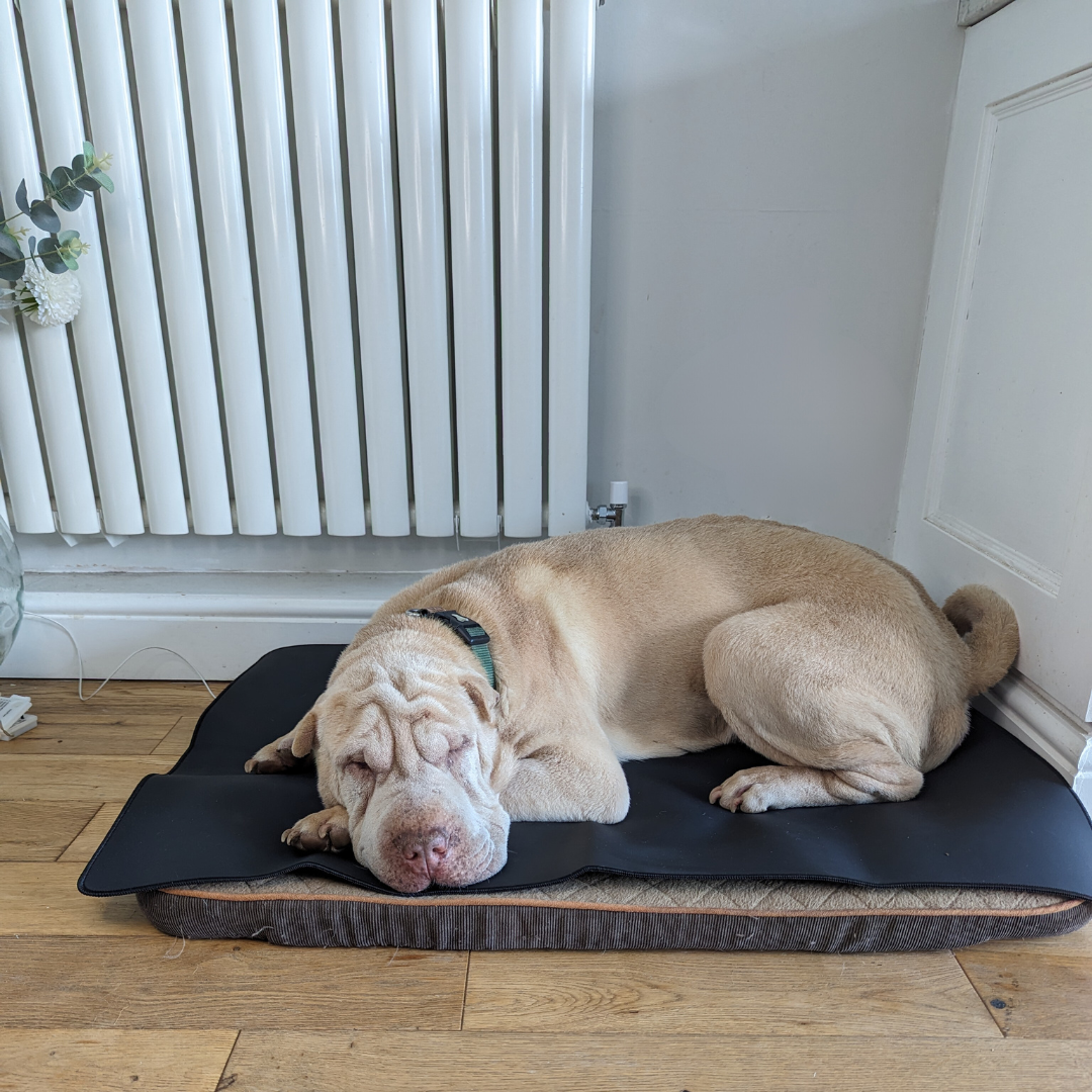 Grounding Earthing Feet Mat - UK Plug - Sleep Aid - Silver Threads